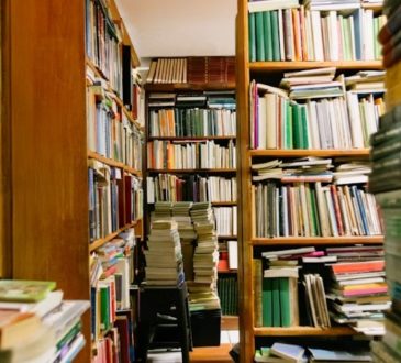 Magical Hidden Bookstores Around the World to Visit 2025